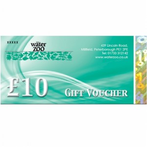 Ten Pound Gift Voucher